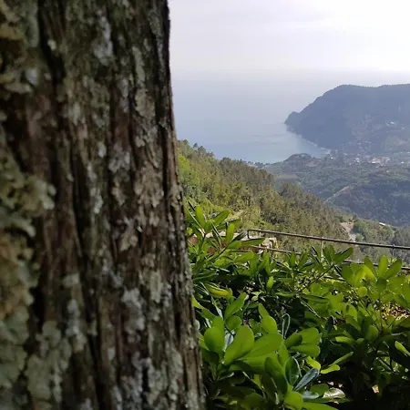 Santuario Ns Soviore Cinque Terre *