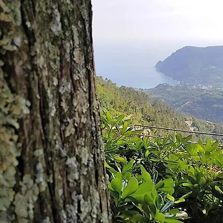Bed & Breakfast Santuario Ns Soviore Cinque Terre Monterosso al Mare