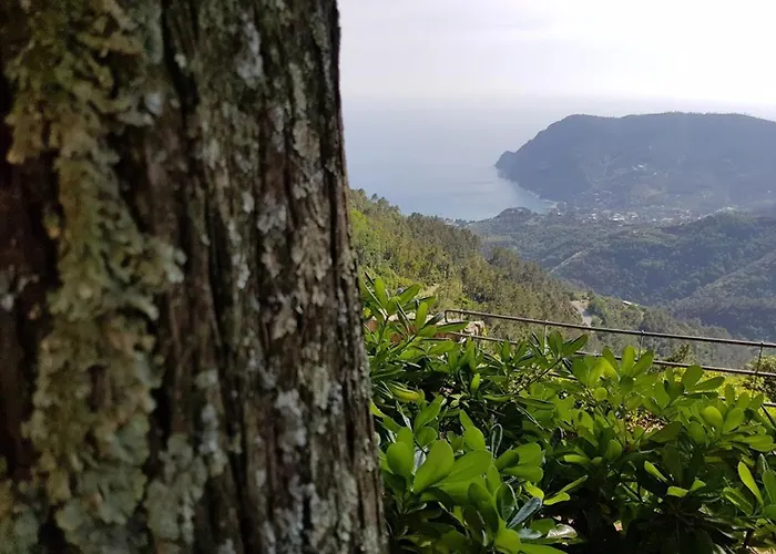 Santuario Ns Soviore Cinque Terre 3*
